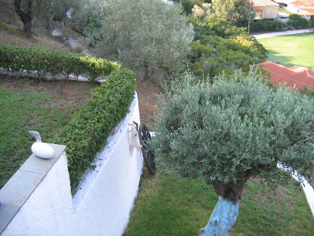 Villa Frideriki Agia Paraskevi  Chambre photo