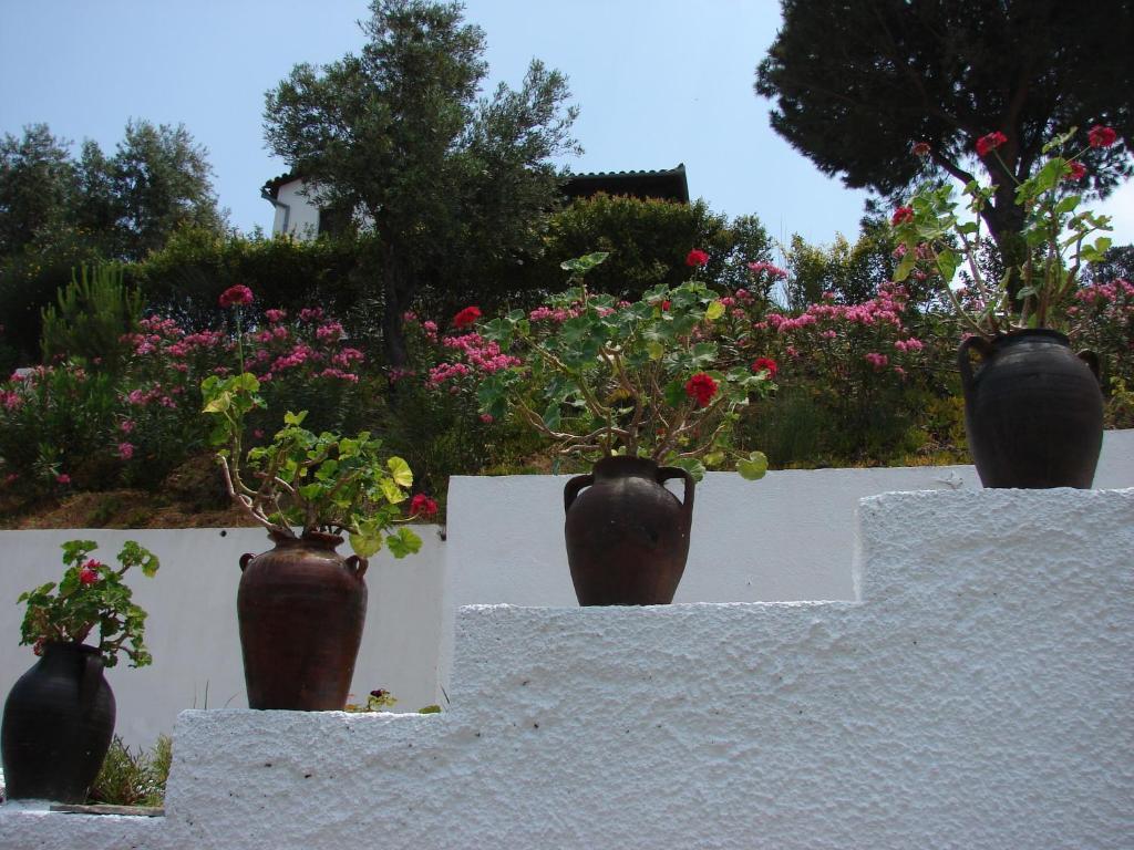 Villa Frideriki Agia Paraskevi  Extérieur photo